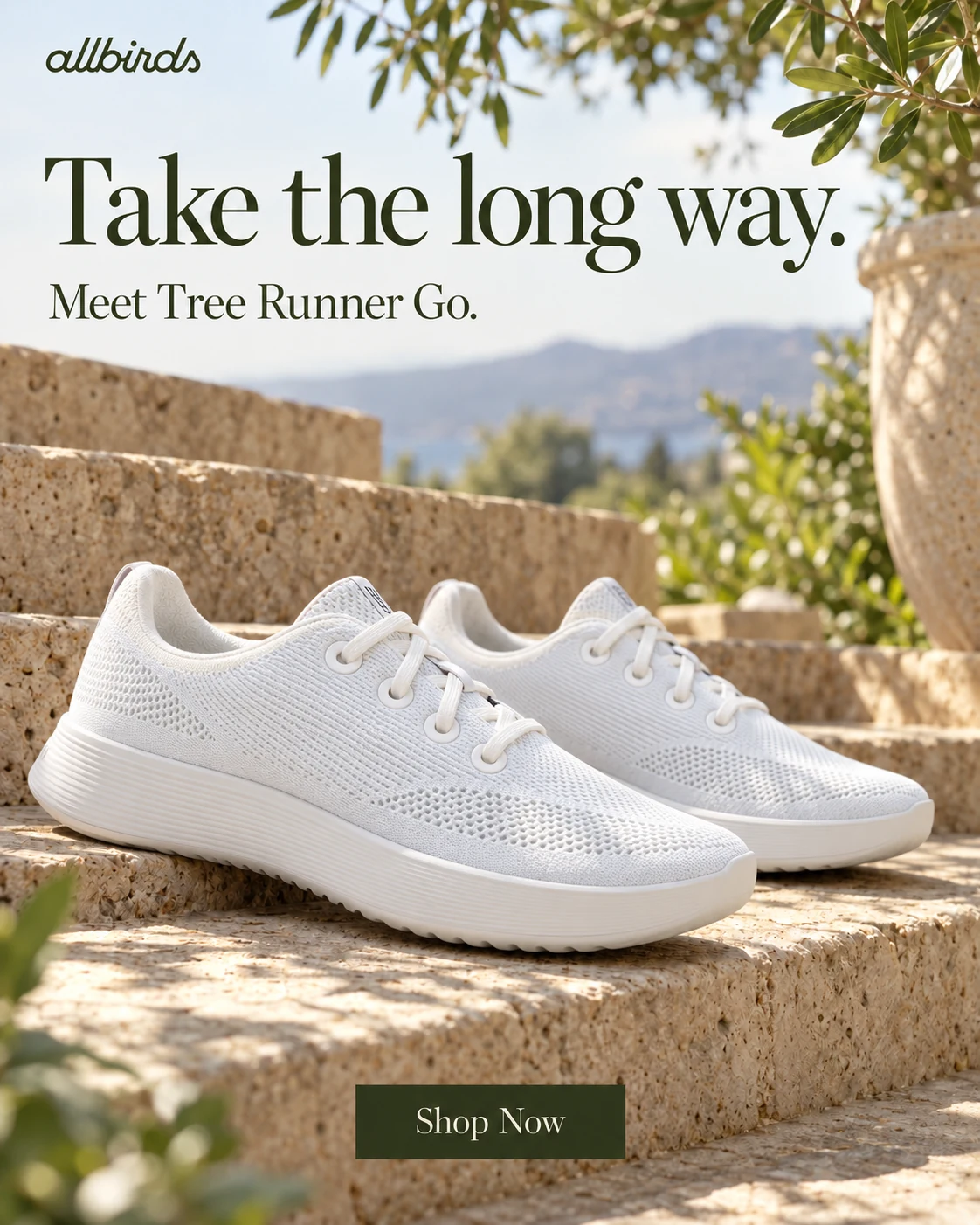 Independent Allbirds advertising concept from Ashley’s portfolio